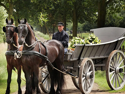 begrafenisondernemer in Leiden